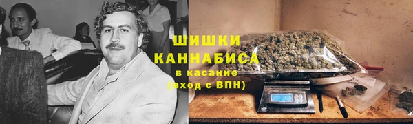 ПСИЛОЦИБИНОВЫЕ ГРИБЫ Верея